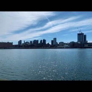 Meet your Posher, Brady